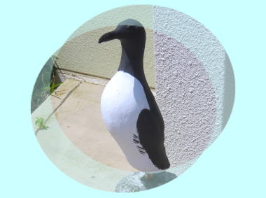 オロロン鳥